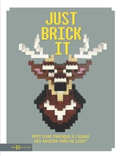 Just Brick It - Petit Livre Pratique À L'Usage Des Adultes Fans De Lego