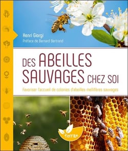 Des abeilles sauvages chez soi - favoriser l'accueil de colonies d'abeilles mellifères sauvages