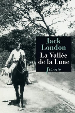La vallee de la lune