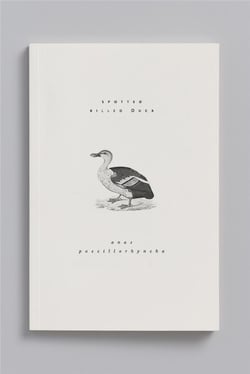Carnet animal aquatique - canard à bec tacheté