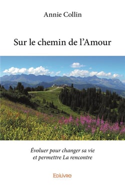 Sur le chemin de l'amour - evoluer pour changer sa vie et permettre la rencontre