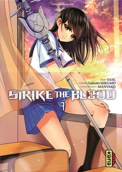 Strike the blood Tome 7