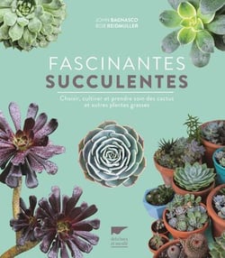 Les succulentes ou plantes grasses - Les Contes Succulents