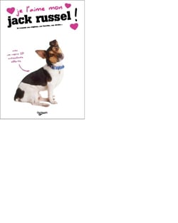 Je l'aime mon jack russel !