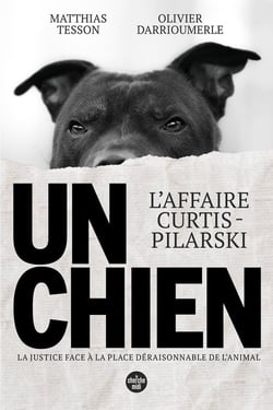 Un chien