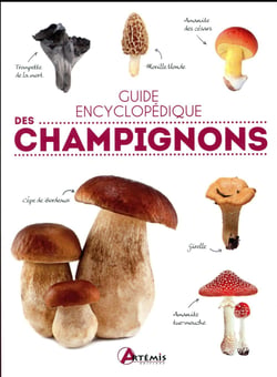 Guide Encyclopedique Des Champignons
