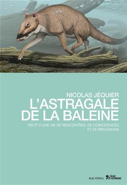 L'astragale de la baleine - récit d'une vie de rencontres, de coïncidences et de réflexions