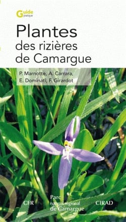 Plantes des rizières de camargue