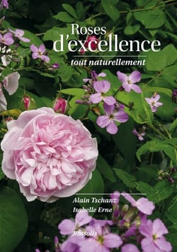 Roses d'excellence - tout naturellement