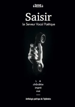 Saisir