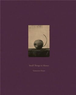 Masao yamamoto small things in silence (new edition) /anglais/japonais