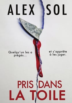 Pris dans la toile