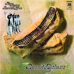 Burrito deluxe