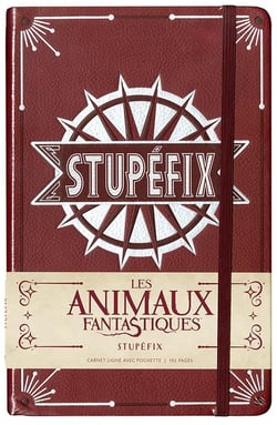 CARNET GRAND FORMAT STUPEFIX