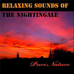 Musique relaxante avec le chant du Rossignol - Pure nature