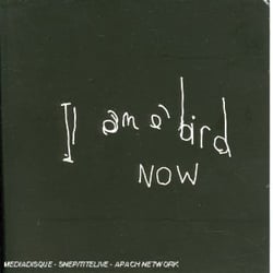 I am a bird now