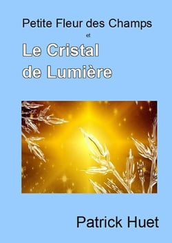 Petite fleur des champs et le cristal de lumière