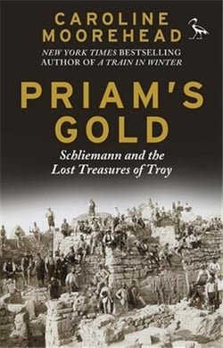 Priam's gold : schliemann and the lost treasures of troy