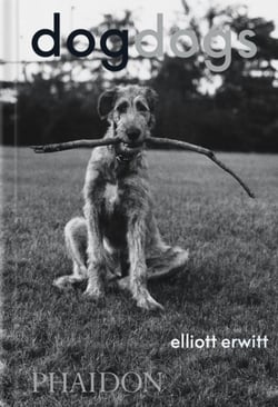 Dogdogs