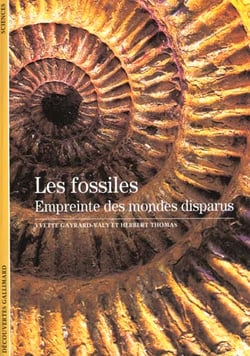 Les Fossiles, empreinte des mondes disparus