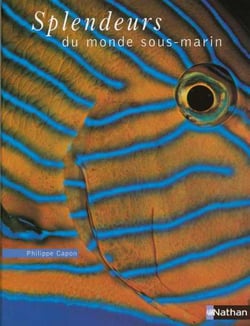 Splendeurs du monde sous-marin