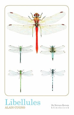 Libellules