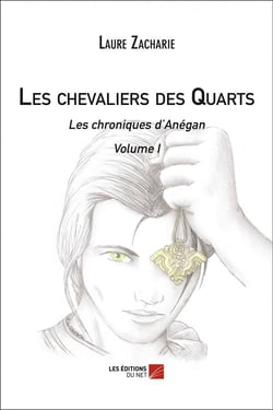 Les chevaliers des quarts t.1 - les chroniques d'Anégan
