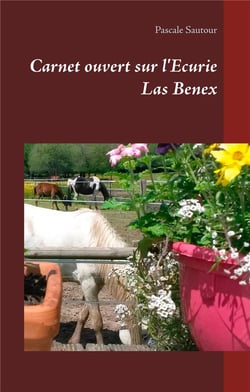 Carnet ouvert sur l'écurie las benex