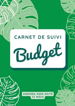 Carnet de suivi budget : Gestion budgétaire, suivi de budget, carnet de compte à remplir