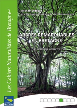 Arbres remarquables en Bretagne, un patrimoine à découvrir