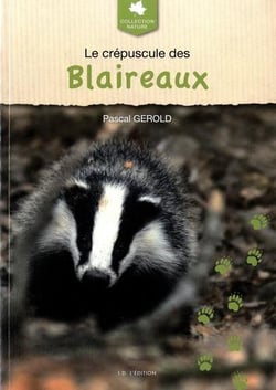 Le crepuscule des blaireaux