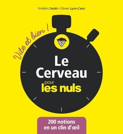 Le cerveau vite et bien pour les nuls