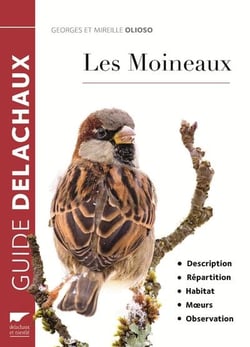 Les moineaux