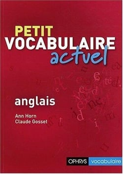Petit vocabulaire actuel anglais