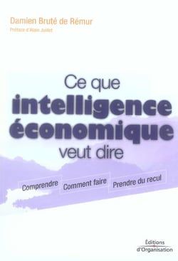 Ce que intelligence economique veut dire - comprendre - comment faire - prendre du recul