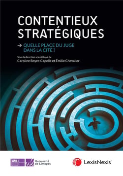 Contentieux stratégiques : Quelle place du juge dans la cité ?