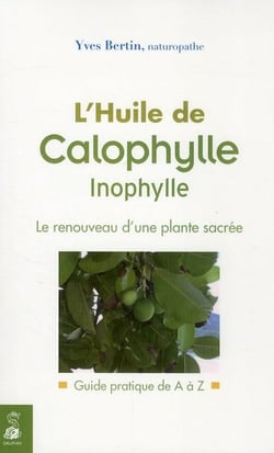 L'huile de calophylle inophylle - le renouveau d'une plante sacrée - guide pratique de A à Z