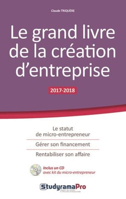 Le grand livre de la création d'entreprise - le statut de micro-entrepreneur, gérer son financement, rentabiliser son affaire (édition 2017/2018)