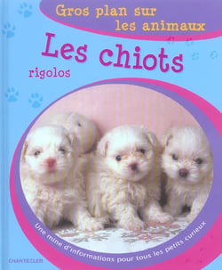 Gros plan sur les animaux 05. les chiots rigolos