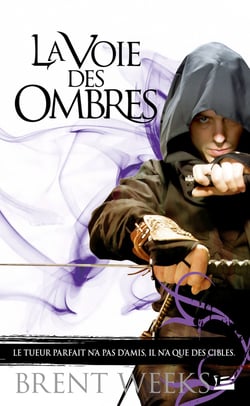 L'ange de la nuit Tome 1 : la voie des ombres