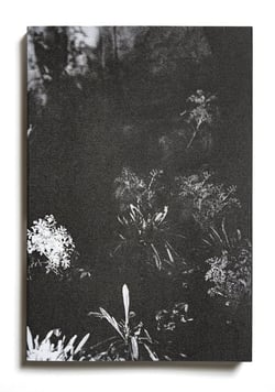 Le jardin d'après