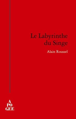 Le labyrinthe du singe