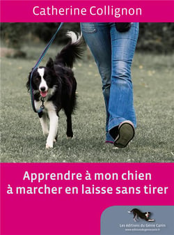 Apprendre à mon chien à marcher en laisse sans tirer