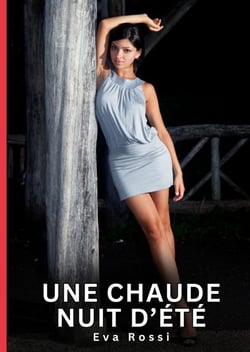Une Chaude Nuit d'Été : Nouvelles érotiques de sexe tabou pour adultes
