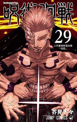 JUJUTSU KAISEN 29 (VO JAPONAIS)