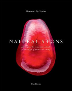 Naturalis fons