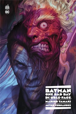 Batman : one bad day : double-face
