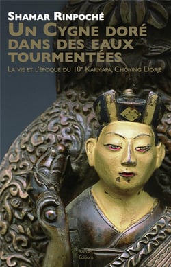 Un cygne doré dans des eaux tourmentées - la vie et l'époque du 10e karmapa, Chöying Dorjé