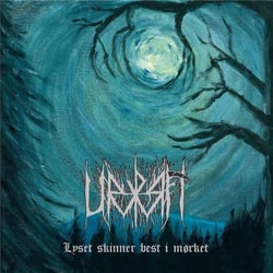Lyset Skinner Best I Morket