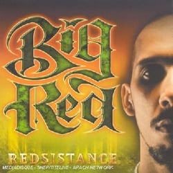 Redsistance